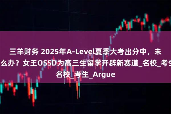 三羊财务 2025年A-Level夏季大考出分中，未达CON怎么办？女王OSSD为高三生留学开辟新赛道_名校_考生_Argue
