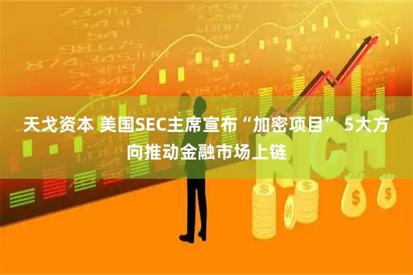天戈资本 美国SEC主席宣布“加密项目” 5大方向推动金融市场上链