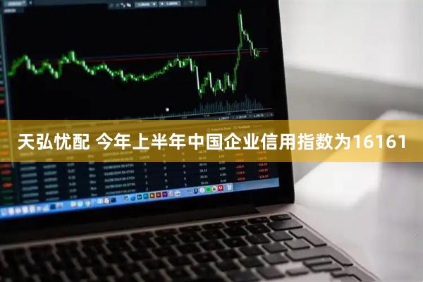 天弘忧配 今年上半年中国企业信用指数为16161